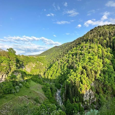 Green Mountain Borjomi Eksteriør billede