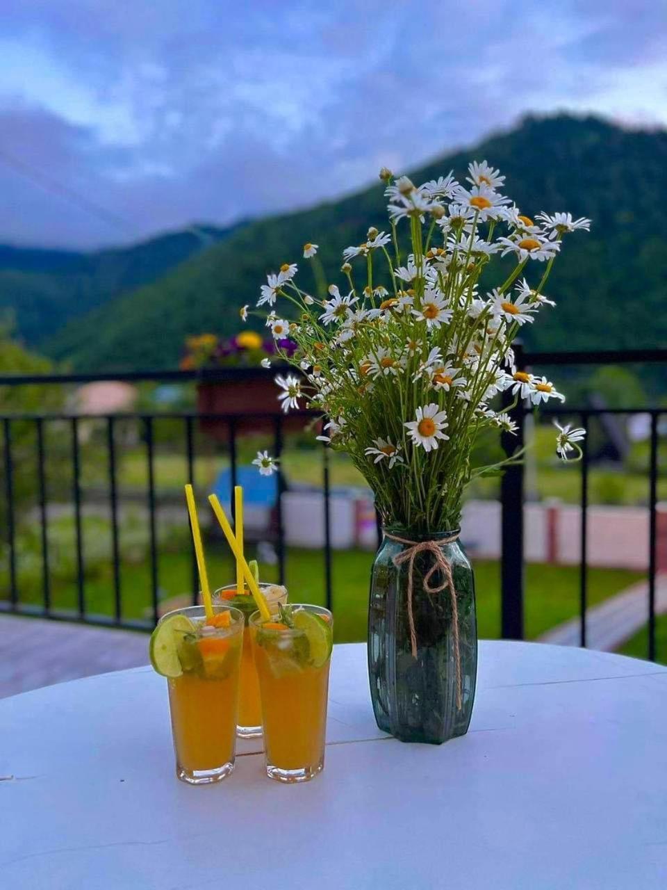 Green Mountain Borjomi Eksteriør billede