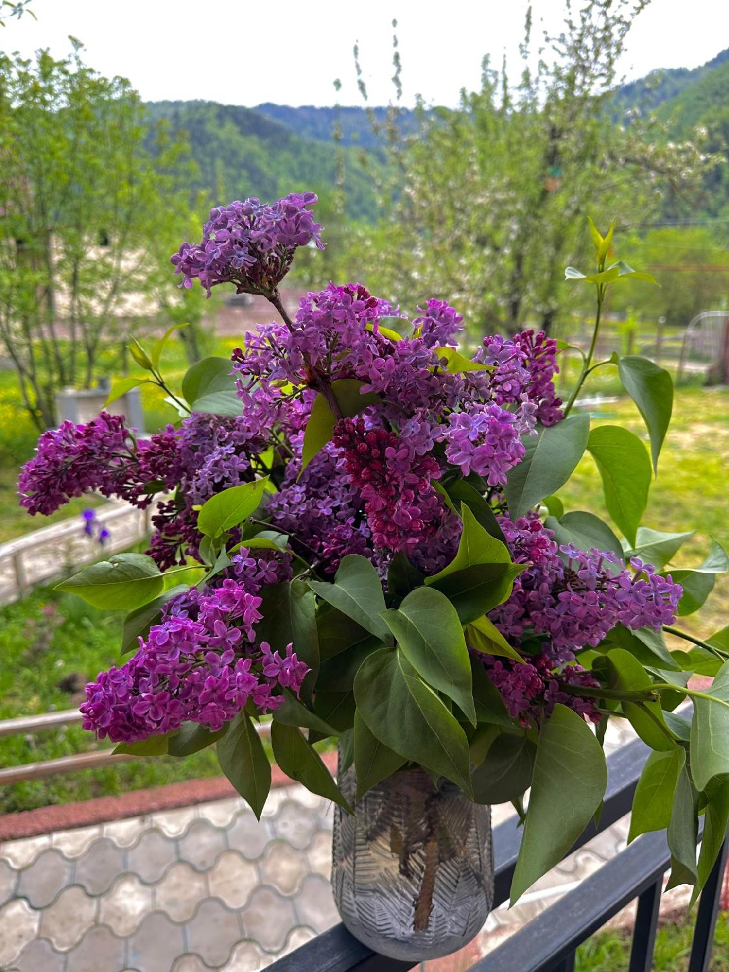 Green Mountain Borjomi Eksteriør billede